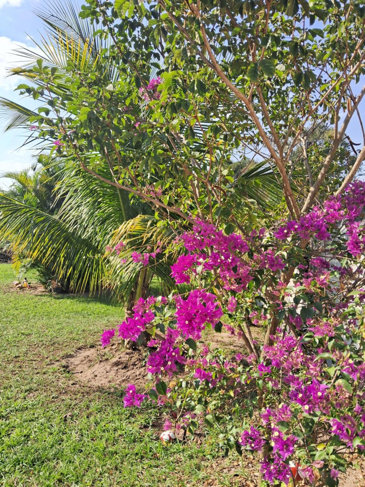 Pouso Zen Villa Araruama Dış mekan fotoğraf